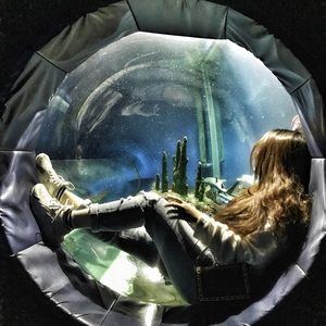 Meet your Posher, Mina